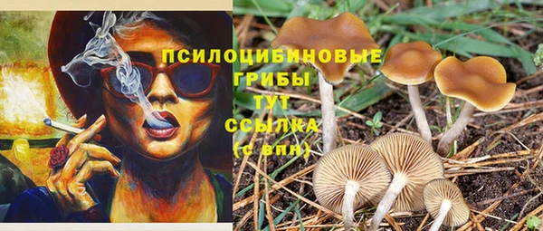 таблы Осташков