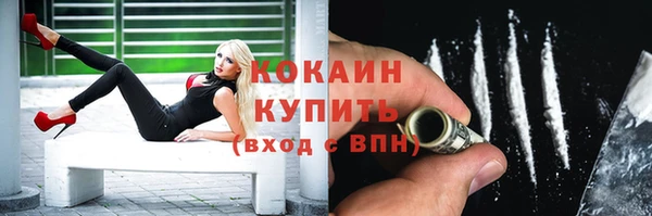 прущие грибы Осинники