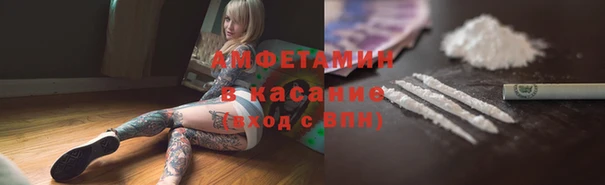 прущие грибы Осинники