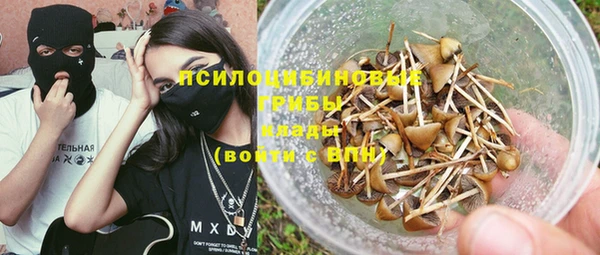 прущие грибы Осинники