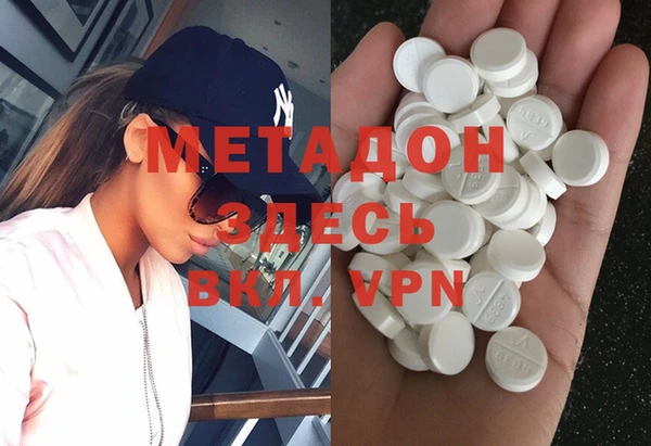 прущие грибы Осинники