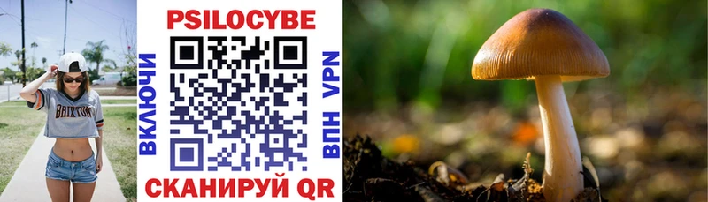 где продают наркотики  Киржач  Псилоцибиновые грибы Psilocybine cubensis 