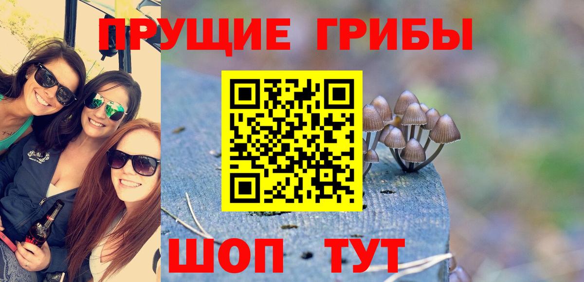 Псилоцибиновые грибы мухоморы  Киржач  Псилоцибиновые грибы ЛСД 