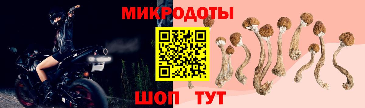 Псилоцибиновые грибы мицелий  Вход с VPN  Киржач 