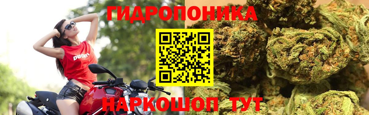 Бошки Шишки Amnesia Киржач